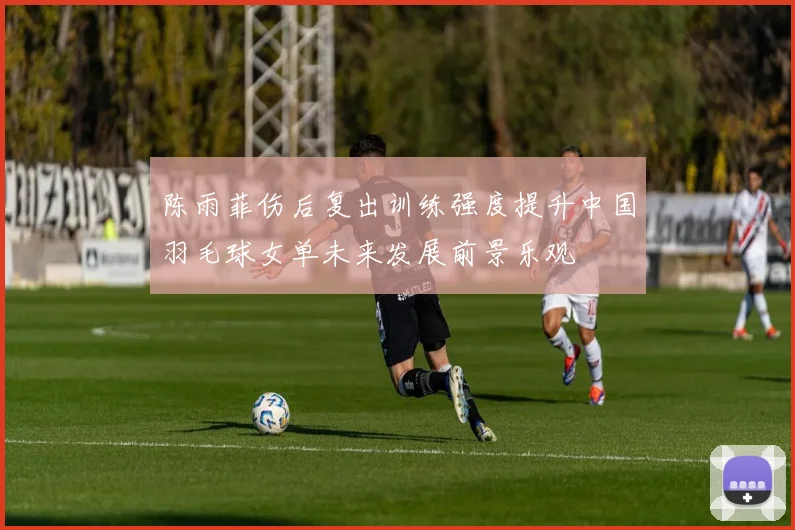 陈雨菲伤后复出训练强度提升中国羽毛球女单未来发展前景乐观