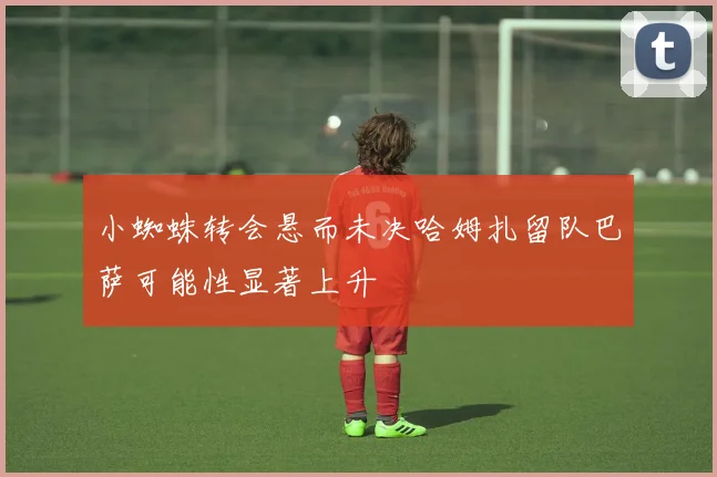 小蜘蛛转会悬而未决哈姆扎留队巴萨可能性显著上升